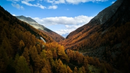 Autumnal colours in an Alpine valley Ross Woodhall - Action & Lifestyle Photography