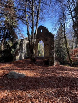 Old ruins of a church. Taken in autumn as surrounded with autumn leaves and trees. Ross Woodhall - Action & Lifestyle Photography