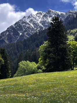 Meadow view with wild meadow in foreground. Ross Woodhall - Action & Lifestyle Photography